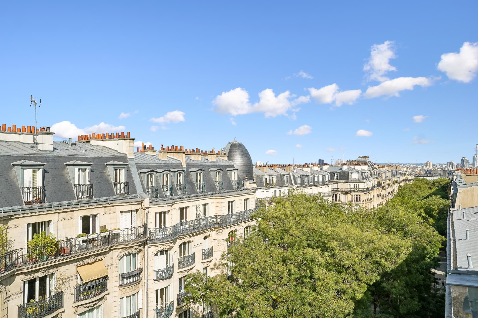 Vue dégagée sur les toits de Paris et les façades haussmanniennes depuis le lot 19